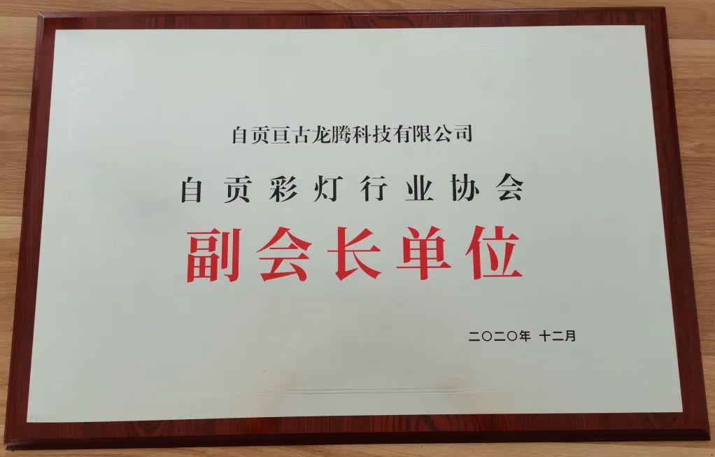 自貢彩燈行業協會正式成立，恭喜亙古被授牌“協會副會長單位”